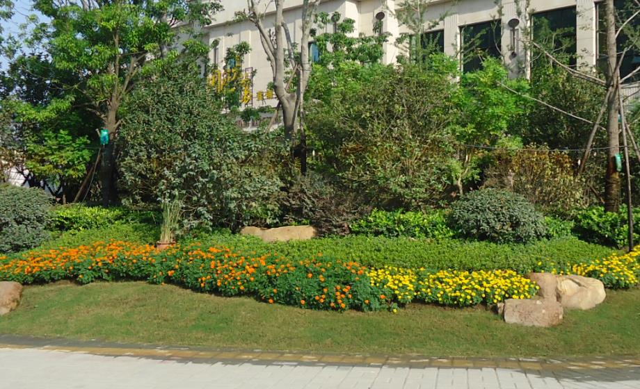 湖北凱蒂園林 湖北凱蒂園林