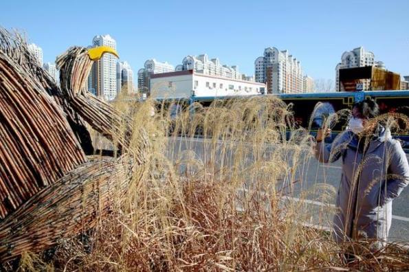 北京全市保留150萬(wàn)平方米冬季自然景觀(guān)