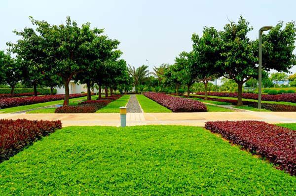 園林綠化常見問題總結，值得收藏