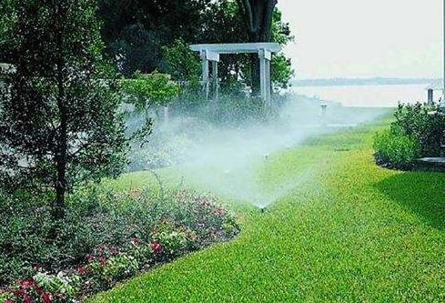 1月份園林養護，加強防凍與越冬害蟲防控是重點 