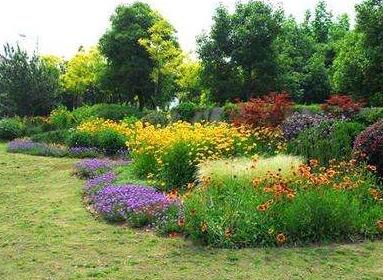 市政工程道路園林綠化要點，你了解嗎