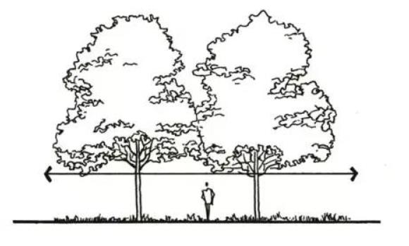 干貨 | 一文看懂，園林景觀植物設計！